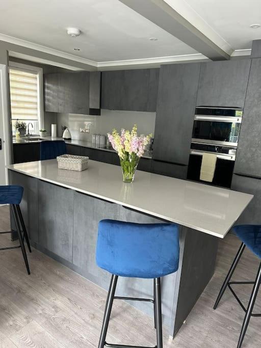 Cameron Coach House Modern Property In Murrayfield Эдинбург Экстерьер фото